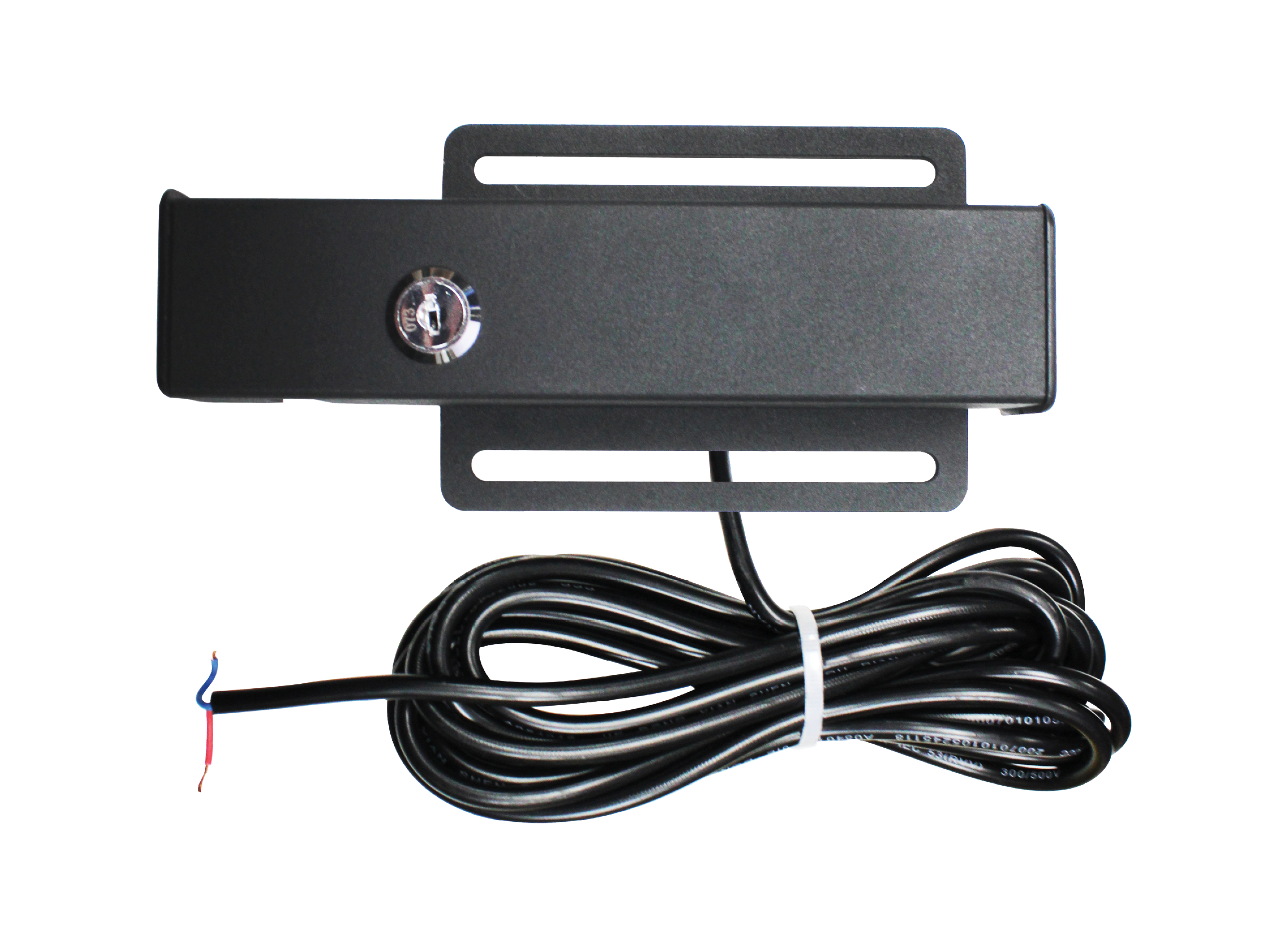 Electric Gate Locks